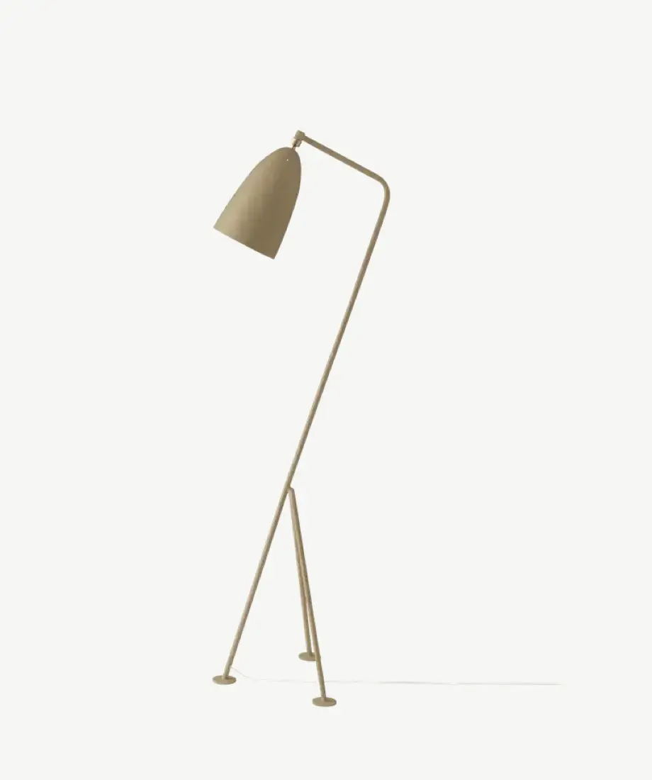Miruna Floor Lamp